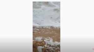 Κακοκαιρία στην Κρήτη: Ο ισχυρός άνεμος "διαλύει" τον αφρό της θάλασσας!