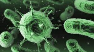 Μικροοργανισμοί στον αρχαίο Άρη "ενοχοποιούνται" για κλιματική αλλαγή