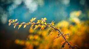 Καλοκαιρίας συνέχεια στην Κρήτη και την Πέμπτη 