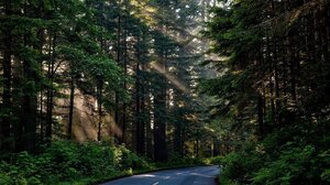 Έρχονται 1.965 νέες προσλήψεις στις Δασικές Υπηρεσίες