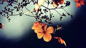 Ο καιρός την Κυριακή στην Κρήτη