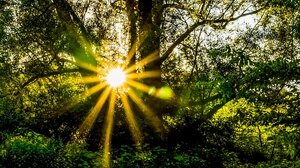 	Ηλιοφάνεια και λίγες νεφώσεις αύριο, με πιθανότητα τοπικών βροχών μόνο στην Κρήτη