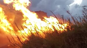 5 στρέμματα έκαψε η φωτιά στον Δήμο Αρχανών Αστερουσίων