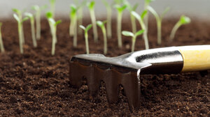 Κινδυνεύουν οι μισές καλλιεργήσιμες εκτάσεις, αν η θερμοκρασία αυξηθεί κατά 2°C