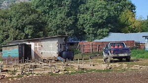 Καβάλα – φονικό: Το θύμα ζητούσε καλύτερες συνθήκες για το μωρό και όχι φυγή, λέει ο δικηγόρος