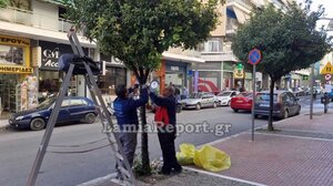 Λαμία: Τους έκλεψαν τα εργαλεία ενώ στόλιζαν τα δέντρα για τα Χριστούγεννα