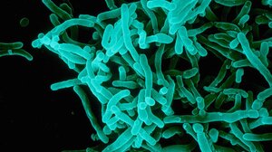 Ελληνική πρωτιά στις ανθεκτικές λοιμώξεις