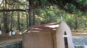 Στο δάσος της Θρυπτής ο Ορειβατικός Σύλλογος Αγίου Νικολάου