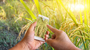 Έκτακτη Γενική Συνέλευση Ενιαίου Αγροτικού Συλλόγου Ιεράπετρας