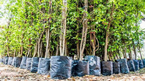 Κλιματική αλλαγή: Οι ΑΠΕ αντιμετωπίζονται θετικά, αλλά όχι κορυφαία προτεραιότητα