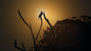  Καιρός: Ηλιοφάνεια με υψηλές για την εποχή θερμοκρασίες