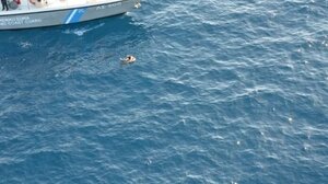 Στους 29 οι νεκροί του ναυαγίου με μετανάστες στο στενό Καφηρέα στην Εύβοια