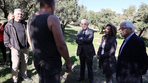 Και φέτος η αξιοποίηση των ελαιοδέντρων του Δήμου Ηρακλείου από τους ωφελούμενους του ΚΕΘΕΑ