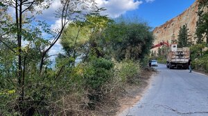 Τι θα γίνει με την κοπή και απομάκρυνση κλαδιών στον Δήμο Χανίων