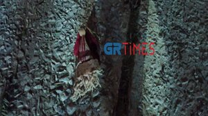 Αστερόκοσμος: Φθορές στο χριστουγεννιάτικο δέντρο μετά την επίθεση με μολότοφ 