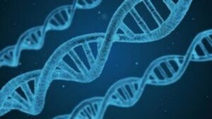 Στην Ελλάδα 18 παιδιά από τον δότη στη Δανία με σπάνια μετάλλαξη που αυξάνει τον κίνδυνο καρκίνου