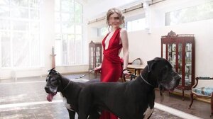 Έπιασαν την απατεώνισσα με το μαύρο σκυλάκι - Ζούσε στη χλιδή και δεν πλήρωνε