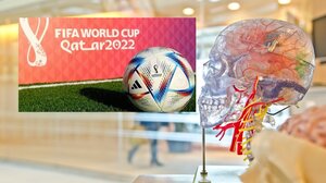 Τι σχέση έχει το Μουντιάλ με την Ανατομία; Οι φοιτητές του Πανεπιστημίου Κρήτης απαντούν!