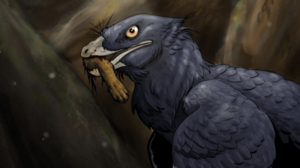 Ανακαλύφθηκε ο πρώτος δεινόσαυρος που έφαγε θηλαστικό