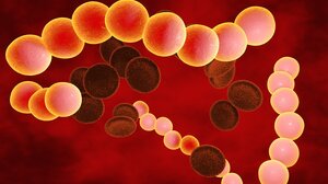 Παγώνη για στρεπτόκοκκο: Σημαντική η άμεση διάγνωση για να μην υπάρχουν επιπλοκές