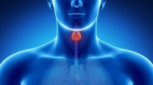 Παθήσεις θυρεοειδούς αδένα: Οι επιπτώσεις στην καρδιά