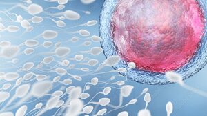 E.E.: Η ποιότητα των σπερματοζωαρίων μειώνεται λόγω του πλαστικού