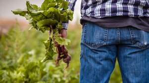 Επιτροπή Ανταγωνισμού: «Κόκκινο» σε 10+6 αθέμιτες πρακτικές στον αγροτικό κλάδο