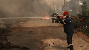 Εύβοια: Μαίνεται η πυρκαγιά στον υγροβιότοπο των Ψαχνών