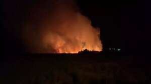 Φωτιά στην Εύβοια: Συναγερμός για τον υδροβιότοπο στα Ψαχνά