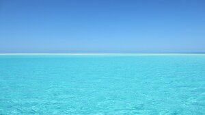 Πρόγραμμα δέκα ημερών για να «ξεπλύνετε» τον εγκέφαλό σας και να ζείτε καλύτερα