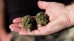 Τον έπιασαν με 100 γραμμάρια κάνναβης