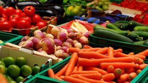 Άμεση εγγραφή στο Φυτοϋγειονομικό Μητρώο, λόγω του εντόμου Spodoptera frugiperda