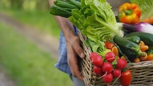  Ξέφρενο ράλι τιμών σε φρούτα και λαχανικά!