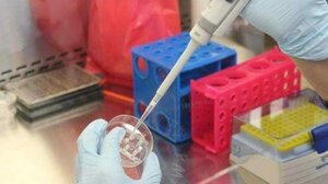 Καρκίνος παχέος εντέρου: Τροποποιημένα βακτήρια σαλμονέλας ενισχύουν την χημειοθεραπεία