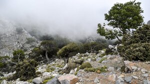 Δίκτη: Στα Απάτητα Βουνά εντάσσεται το όρος όπου γεννήθηκε ο Δίας