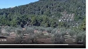 Μπήκαν κάμερες πυρανίχνευσης στα δάση της Αλοννήσου