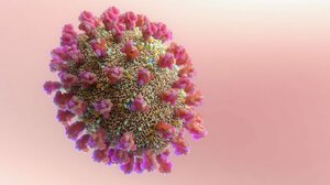 ΠΟΥ: Η εύρεση της προέλευσης του κορωνοϊού είναι ηθική επιταγή