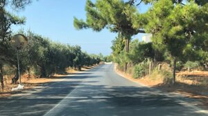 Ανθρώπινη ασπίδα: "Έκκληση αγανάκτησης για την ασφάλεια των μεταφορών"