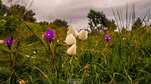  Εκεί που οι λέξεις είναι φτωχές...