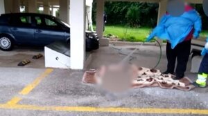 Μια μεσαιωνική πράξη με πολλά ερωτηματικά