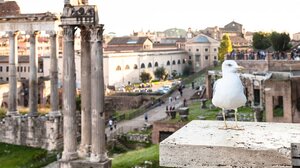 Ιταλία: Μόνο για τα απολύτως απαραίτητα φτάνει το εισόδημα των περισσότερων νοικοκυριών