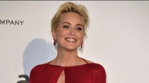 Σάρον Στόουν: Το επικό "F@@ you" στους νεαρούς που δεν την αναγνώρισαν και την κατηγόρησαν ότι τους έκλεψε τη θέση