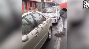 «Βροχή σκουληκιών» στο Πεκίνο