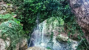 Στο Φαράγγι Μύλων οι "Δρόμοι Ζωής"