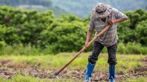 Από 12 Ιουνίου η υποβολή αιτήσεων ΟΣΔΕ