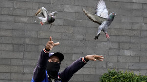 Πορτογαλία: Τέσσερις νεκροί μετά από διαμάχη για αγωνιστικά περιστέρια