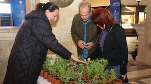 Εμβληματικά σημεία του Ηρακλείου αλλάζουν μορφή, πρασινίζοντας την πόλη