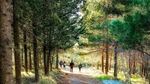 Γιους Κάμπος ή Κάμπος της Ηούς- Ξεχωριστή εκδρομή στο Γερακάρι