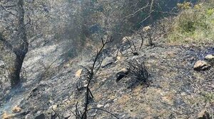 Συνελήφθη ένας άνδρας για τη φωτιά στην Πολυθέα του Δήμου Μινώα Πεδιάδας