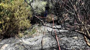 Πρόστιμο και δικογραφία για πυρκαγιά στον Προφήτη Ηλία